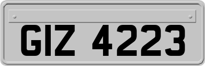 GIZ4223