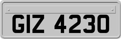 GIZ4230
