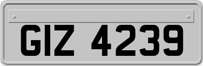 GIZ4239