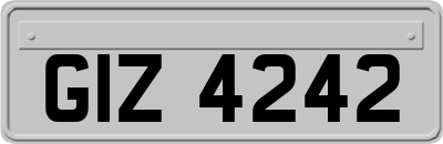 GIZ4242