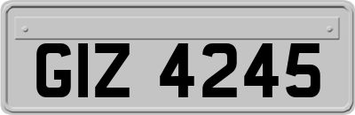 GIZ4245