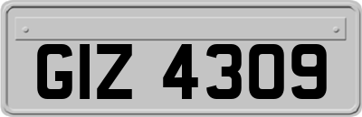 GIZ4309
