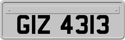 GIZ4313
