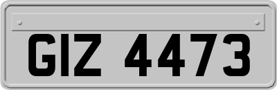 GIZ4473
