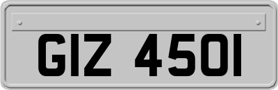 GIZ4501