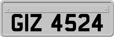 GIZ4524