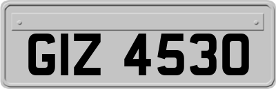 GIZ4530