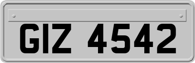 GIZ4542