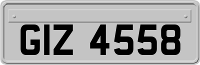 GIZ4558