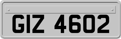 GIZ4602