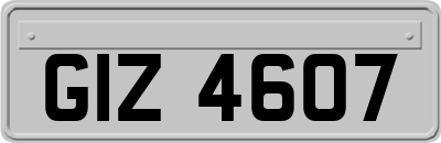 GIZ4607