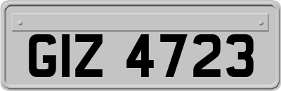 GIZ4723