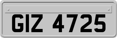 GIZ4725