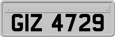 GIZ4729