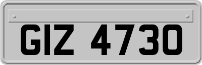 GIZ4730