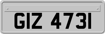 GIZ4731