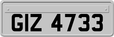 GIZ4733