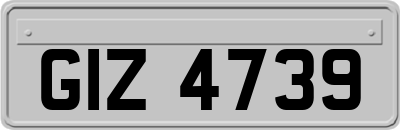 GIZ4739