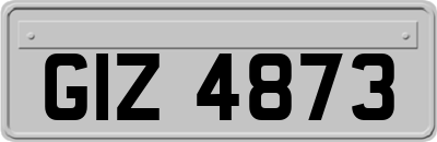 GIZ4873