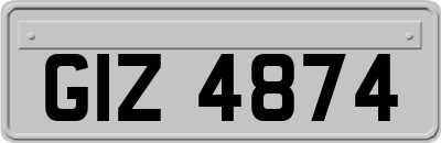GIZ4874