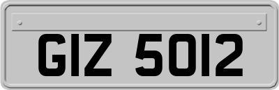 GIZ5012