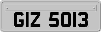 GIZ5013