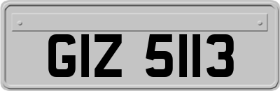 GIZ5113