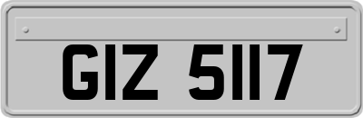 GIZ5117