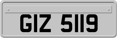 GIZ5119