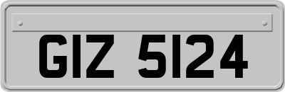GIZ5124