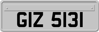 GIZ5131