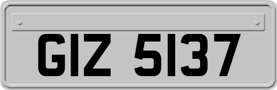 GIZ5137