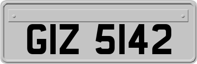 GIZ5142