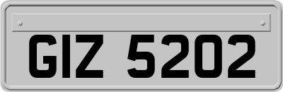 GIZ5202