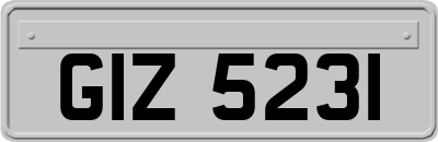 GIZ5231