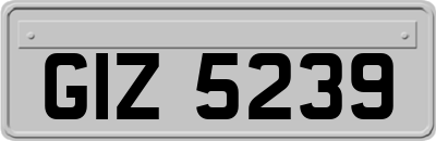 GIZ5239