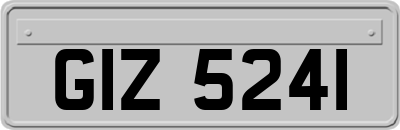 GIZ5241