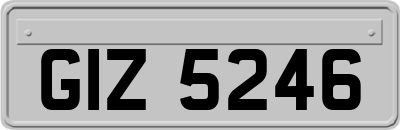 GIZ5246