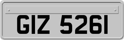 GIZ5261