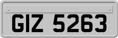 GIZ5263