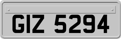 GIZ5294