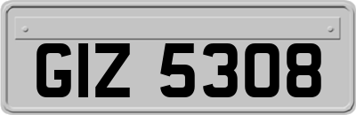 GIZ5308