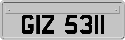 GIZ5311