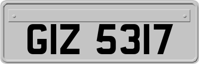 GIZ5317