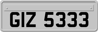 GIZ5333