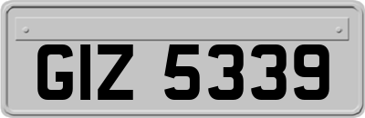 GIZ5339