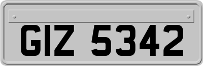 GIZ5342