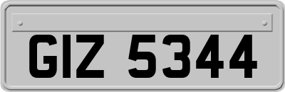 GIZ5344