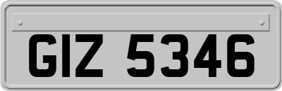 GIZ5346