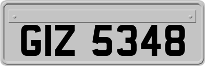 GIZ5348